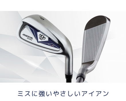 パター付きパワービルト ゴルフ モメンタムサイン アイアンセット 7本組(7-P,A,S,PT) カーボン/R