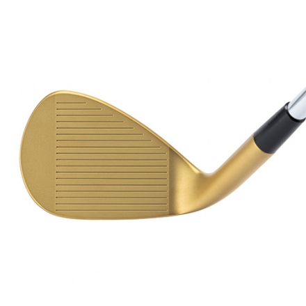 数量限定キャスコ ドルフィン DW-123 ゴールド ウェッジ ダイナミックゴールド95 スチールシャフト 56度/S200