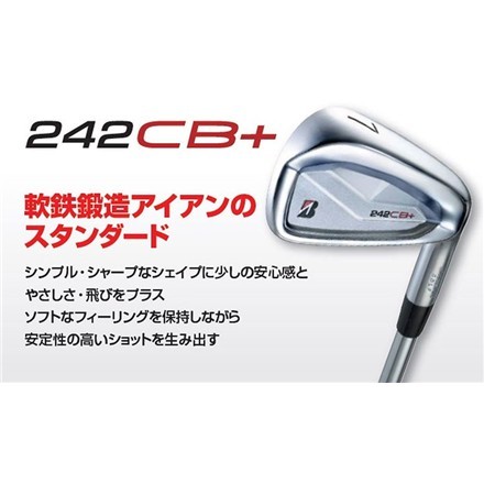 ブリヂストン 242CB+ アイアンセット 6本組(5-P) ダイナミックゴールド 95 スチールシャフト S200