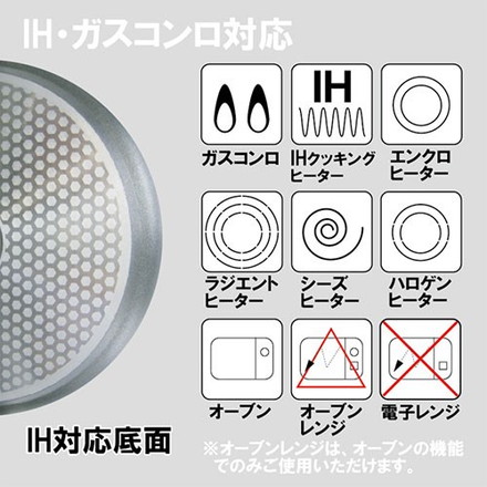 ガストロラックス バイオタンBIOTAN IH・ガス対応深型フライパン 20cm 固定ハンドル PFOS/PFOAフリー Gastrolux17220