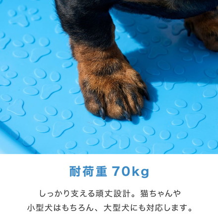 ペットバス ドッグバス 家庭用 浴槽 お風呂 バスタブ プラスチック製 大型 シャンプー お手入れ 小型犬 中型犬 大型犬 猫 犬 ペット用品 トリミング グルーミング トリマー ホワイト ブルー ブルー