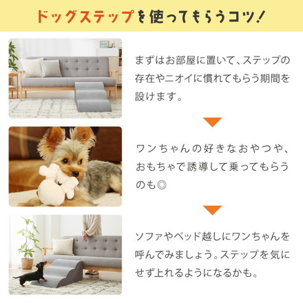 ドッグステップ 2段 スロープ 幅40cm ドッグスロープ ブラウン