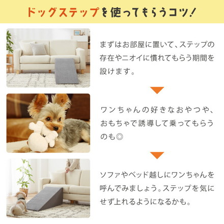 ドッグステップ スロープ 幅40cm ドッグスロープ アイボリー