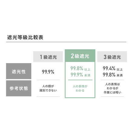 プーさん絵羽遮光カーテン 2枚組 100×178cm ドレープカーテン 遮光 洗える 洗濯 カーテン フック