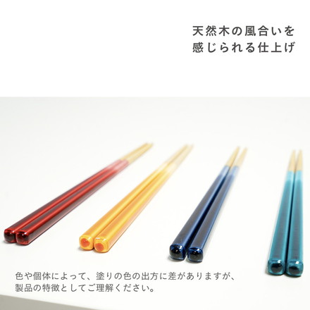 ほんとうにすべらないお箸 23cm グラデーション レッド イエロー グリーン ブルー 日本製 食洗機対応 特許取得 木製 箸 はし カトラリー お箸 藤栄 FUJIEI PREMIUM/グラデーションRD