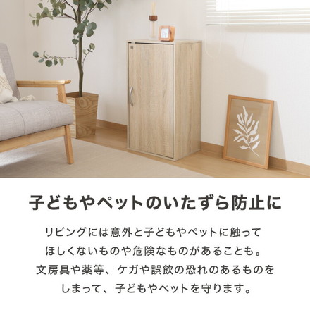 鍵付き収納ボックス 鍵付き 扉収納 可動棚 連結 本棚 シェルフ 収納家具 デスク ベッドサイド リビング ワンルーム オーク