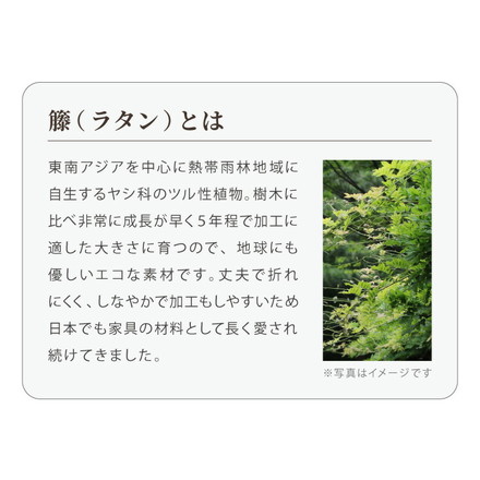 天然籐リクライニングチェア 完成品 マガジンラック サイドテーブル付 ラタン チェア 座椅子 イス 肘付き ソファ