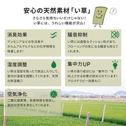 い草上敷き い草カーペット 柳川 やながわ 本間10畳 477×382cm 双目織り 和風 和室 無地 抗菌・防臭 萩原