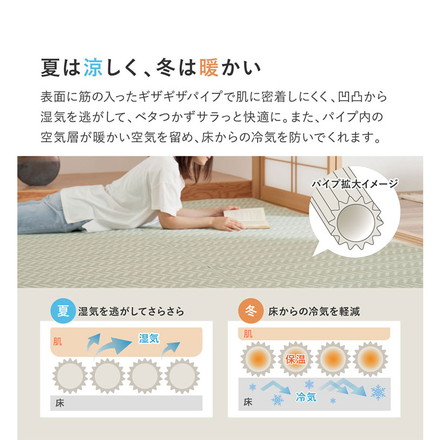 裏付き 洗えるい草風カーペット 261×261cm パスラッシュ 江戸間4.5畳 大人 パステルカラー い草風 ラグ カーペット 水拭きOK グリーン[81967945]