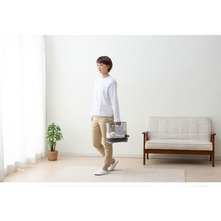 アイリスオーヤマ リンサークリーナー RNS-P10-W ホワイト 掃除 電動ポンプ付き T型ノズル