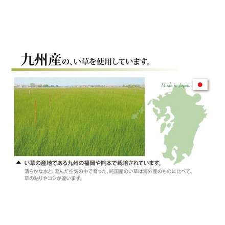 純国産 糸引織 い草上敷 『湯沢』 六一間2畳（約185×185cm）