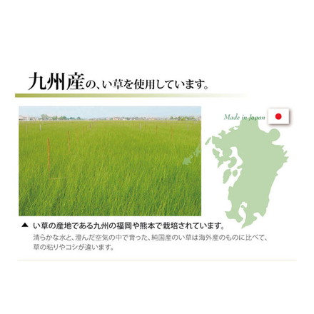 純国産 双目織 い草上敷 『ほほえみ』 本間2畳（約191×191cm）