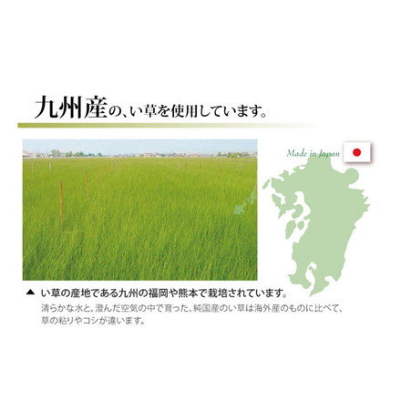 純国産 双目織 い草上敷 『松』 本間2畳（約191×191cm）