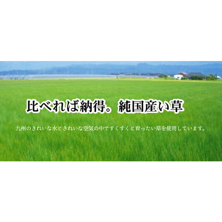 純国産 袋七重織い草マット 『万華鏡』 約95×150cm(裏:不織布)