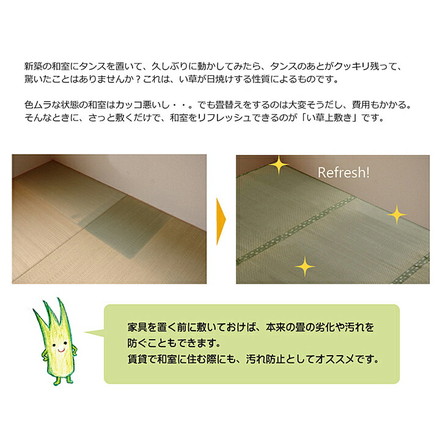 純国産 い草 上敷き カーペット 市松織 『不知火』 団地間6畳(約255×340cm) 熊本県八代産イ草使用