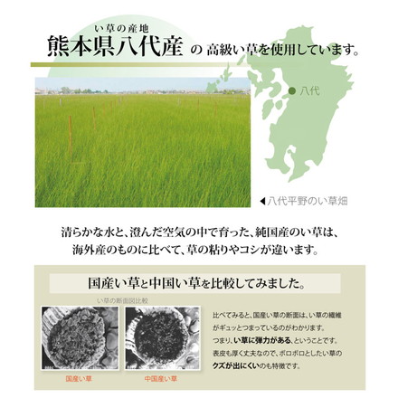 日本製 ラグ カーペット い草上敷 敷き詰めタイプ 純国産 い草 上敷き カーペット 麻綿織 『清正』