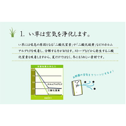 ラグ カーペット マット い草 中敷 リーフ柄 い草ラグ 『NSプラハ』 ブラウン