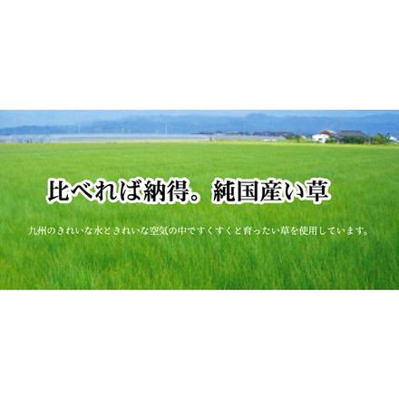 純国産 防音 ボリューム い草ラグ 『STクレスタ』 ブラウン 約191×191cm（裏:ソフトテック15mm）