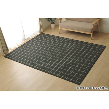 ラグ カーペット バンブー 竹 シンプル 『DXステラ』 ブラック 約180×240cm ステラ