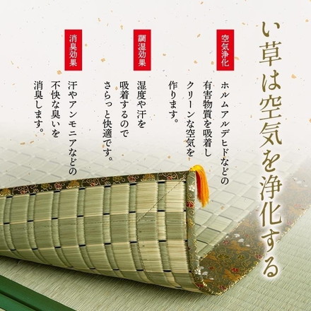 日本製 い草 御前ござ 盆 法事 仏前 掛川織 シンプル 約88×176cm 松川