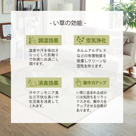 い草ラグ 消臭 カーペット 長方形 リーフ ブラウン 約191×300cm (裏:不織布) 滑りにくい加工