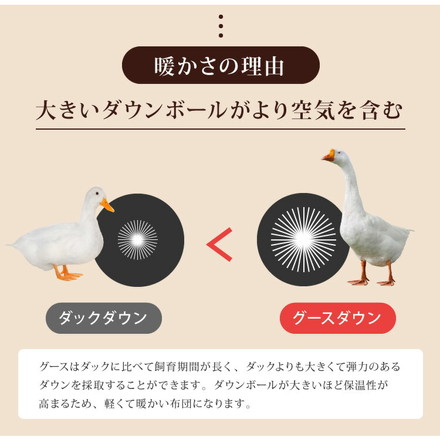 日本製 羽毛布団 キング ロイヤルゴールドラベル ポーランド産ホワイトグースダウン93% 400dp 充填量2kg
