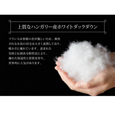 日本製 2枚合わせ 羽毛布団 キング エクセルゴールドラベル ハンガリー産ホワイトダックダウン90% 350dp