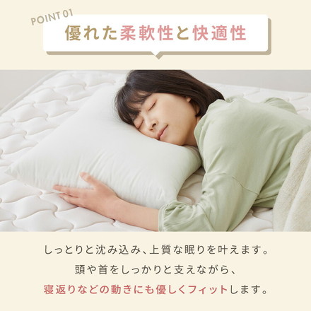 低反発枕 日本製 国産 高衛生まくら ダニキャッチ 家庭で洗える ウォッシャブル ホコリがでにくい 匂いがすくない