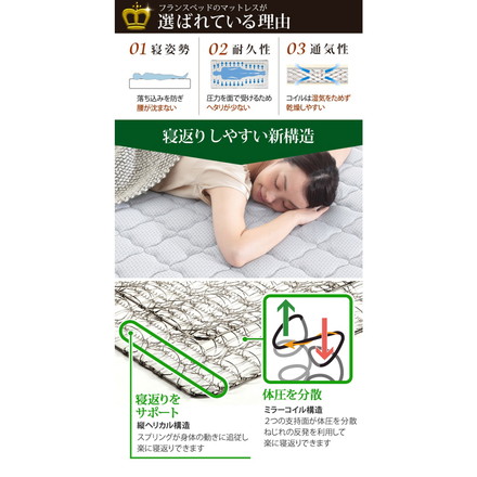 フランスベッド ツインサポートスプリングマットレス セミダブル 高密度連続スプリングマットレス 防ダニ 抗菌 防臭