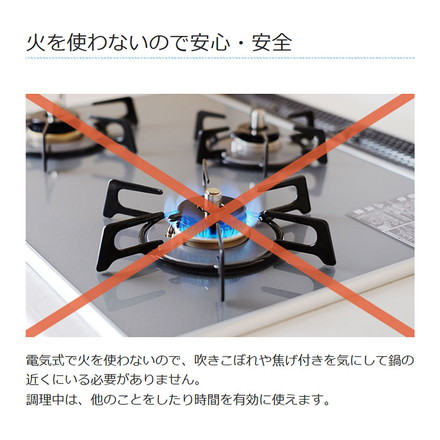 ライソン 電気煮込み鍋 スロークッカー 3.0L ホーロー鍋 電気調理鍋 軽量 ダイヤル 簡単調理 卓上調理 水洗い 丸洗い 節電 火を使わない カレー KDPC-30BW LITHON