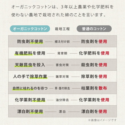 抱き枕 ロング S字 綿100% オーガニックコットン 140×30cm 洗える 抱きまくら 枕 ボディーピロー ベージュ