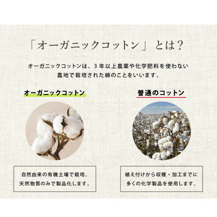 抱き枕 U字 綿100% オーガニックコットン 洗える グレー