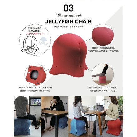 ジェリーフィッシュチェア 無地タイプ バランスボール エクササイズ デザインチェア イス 椅子 フィットネス ブラック