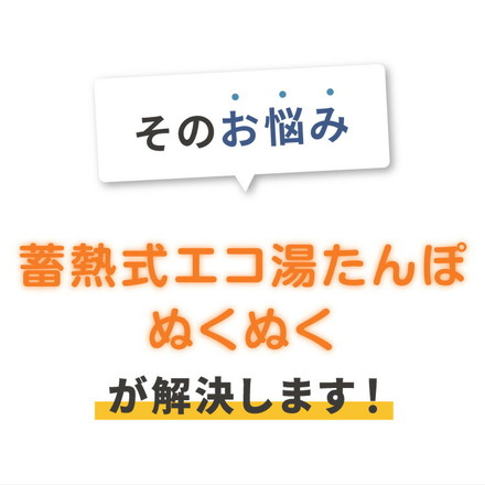 蓄熱式湯たんぽ ぬくぬく フランネル 電気湯たんぽ 充電式 カバー付 もこもこ コードレス 電気あんか 洗濯可 nuku2 EWT-2162 グレージュ
