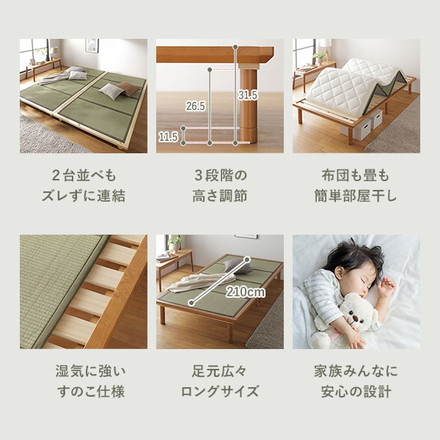 畳 ベッド シングル ブラウン 緑 双目織 畳マット付き 3段階 高さ調整可 すのこ 4つ折りマット