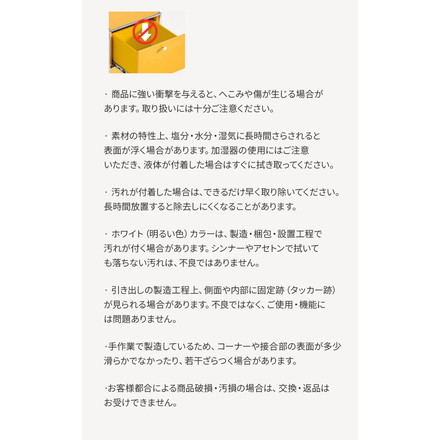 ステンレス モジュールキャビネット 40cm 2段 完成品 オールステンレス ミッドセンチュリー モジュール家具 モジュール棚 収納ラック 壁面 収納 キャビネット 韓国インテリア アルスルイ カーボンブラック