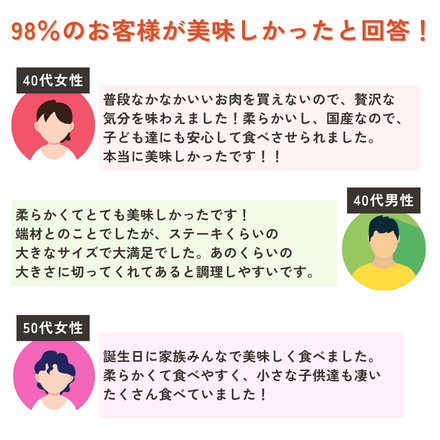 訳あり【予約商品：12月2日以降順次発送】和牛入り 国産牛1kg モッタイナイビーフ 焼肉セット（500g×2パック）