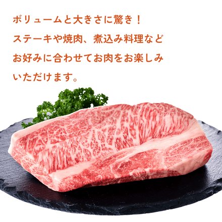 訳あり 【予約商品：11月25日以降順次発送】 A4ランク以上 モッタイナイビーフ 塊 黒毛和牛 500g