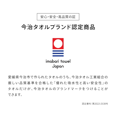 アイリスオーヤマ ビッグフェイスタオル 2枚セット BFT-2 ライトグレー