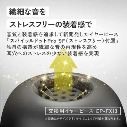 JVC イヤホン Victor WOOD master HA-FW5000T-B ピアノブラック