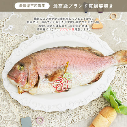 服部幸應先生監修 お食い初め はじめての食育膳 MOGU 鯛1.5kg 食器付 （男の子用 朱色）