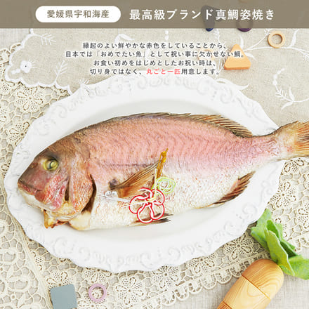 服部幸應先生監修 お食い初め はじめての食育膳 HAGU 鯛1.5kg