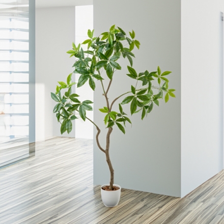 人工観葉植物 パキラ 光触媒 フェイクグリーン