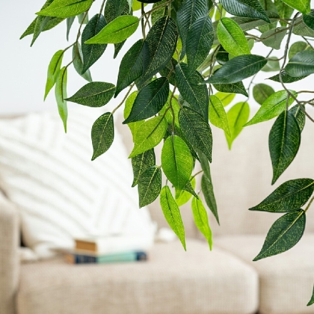 人工観葉植物 ベンジャミン 光触媒 フェイクグリーン