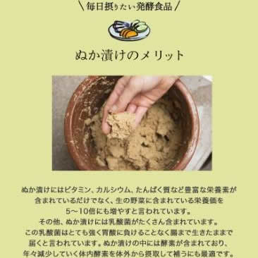 熟成ぬか漬けキット 1kg×2袋