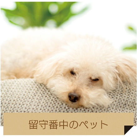 高画質ワイヤレスホームカメラ 留守番 見守りカメラ ペットカメラ 防犯