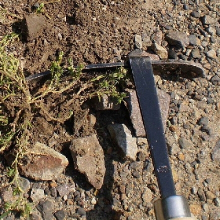 兼松 T型草取り鎌 日本製