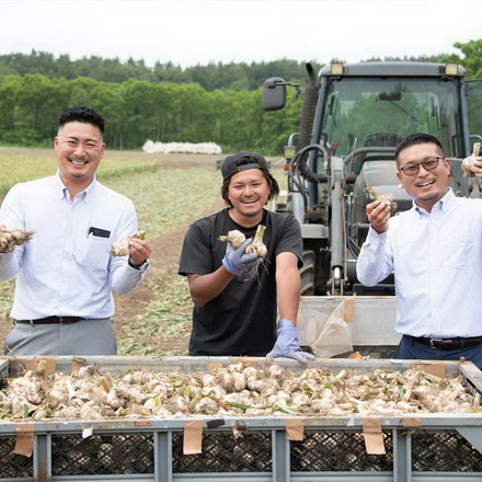 青森県産訳あり熟成黒にんにく 1kg 黒ニンニク 大蒜 訳あり 食品 ブランドニンニク 青森県産 福地ホワイト六片