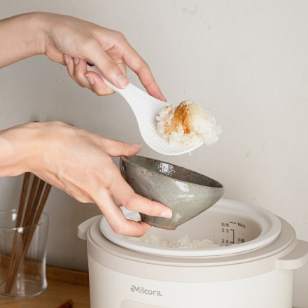 土鍋炊飯器「匠」 土鍋炊き風 炊飯器 1合～2.5号 一人暮らし 新生活応援 コンパクト炊飯器 マイコン式