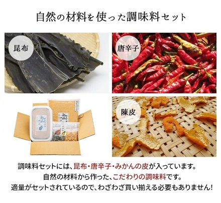 熟成ぬか漬けキット 1kg×2袋